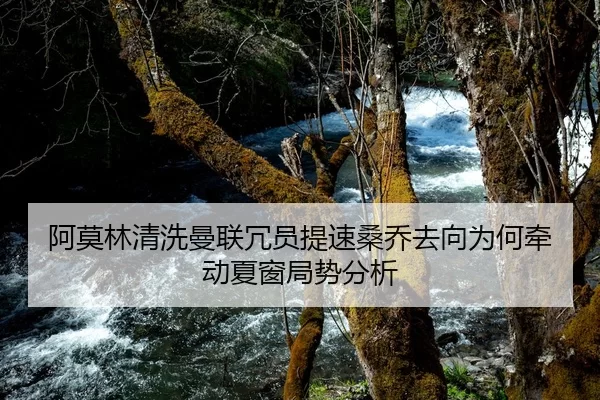 阿莫林清洗曼联冗员提速桑乔去向为何牵动夏窗局势分析 | Kaiyun FIFA WorldCup