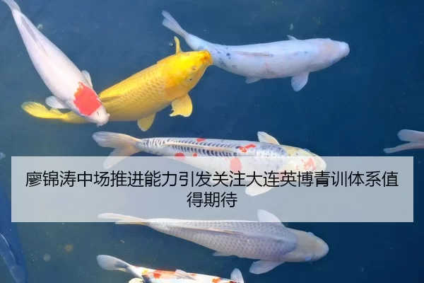 廖锦涛中场推进能力引发关注大连英博青训体系值得期待（Kaiyun FIFA WorldCup）