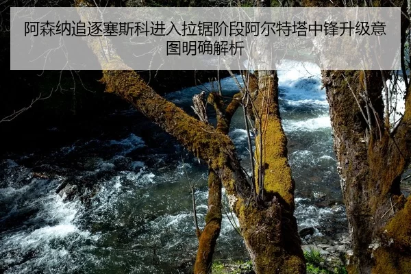 阿森纳追逐塞斯科进入拉锯阶段阿尔特塔中锋升级意图明确解析